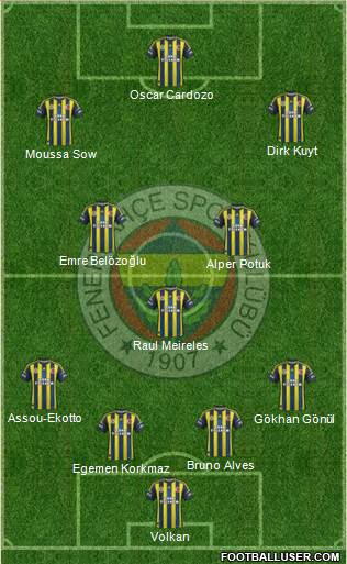 Fenerbahçe SK Formation 2013