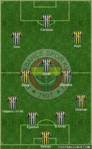 Fenerbahçe SK Formation 2013