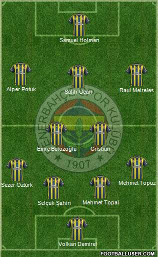 Fenerbahçe SK Formation 2013