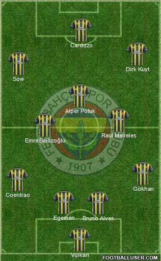 Fenerbahçe SK Formation 2013