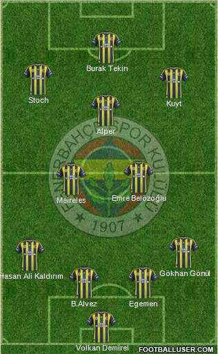 Fenerbahçe SK Formation 2013