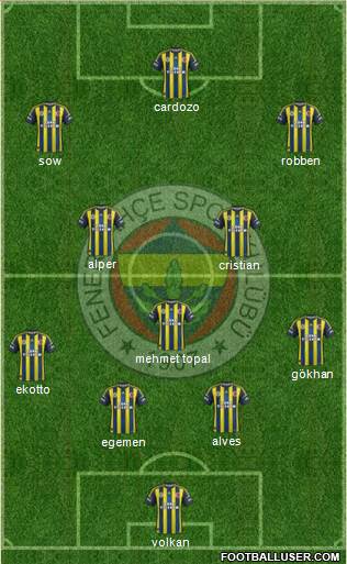 Fenerbahçe SK Formation 2013