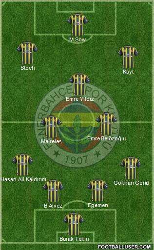 Fenerbahçe SK Formation 2013
