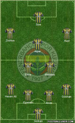 Fenerbahçe SK Formation 2013