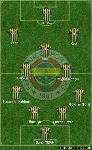 Fenerbahçe SK Formation 2013