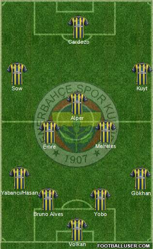 Fenerbahçe SK Formation 2013