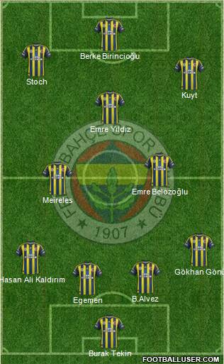 Fenerbahçe SK Formation 2013