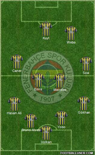 Fenerbahçe SK Formation 2013