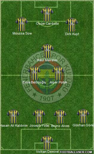 Fenerbahçe SK Formation 2013