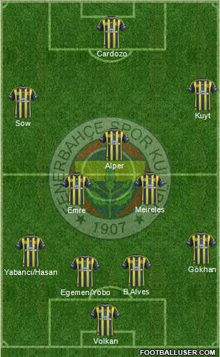 Fenerbahçe SK Formation 2013
