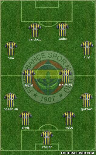 Fenerbahçe SK Formation 2013