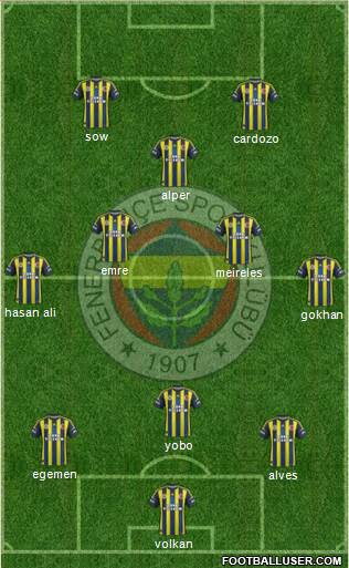 Fenerbahçe SK Formation 2013