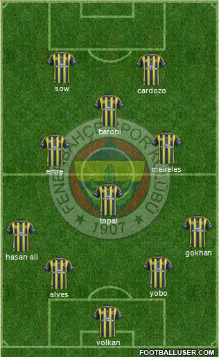 Fenerbahçe SK Formation 2013