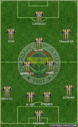 Fenerbahçe SK Formation 2013