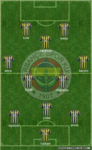 Fenerbahçe SK Formation 2013