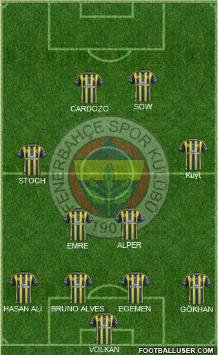 Fenerbahçe SK Formation 2013