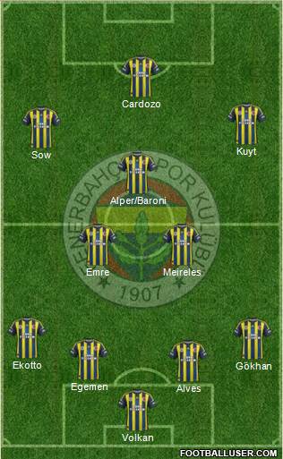 Fenerbahçe SK Formation 2013