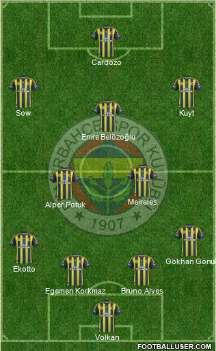 Fenerbahçe SK Formation 2013