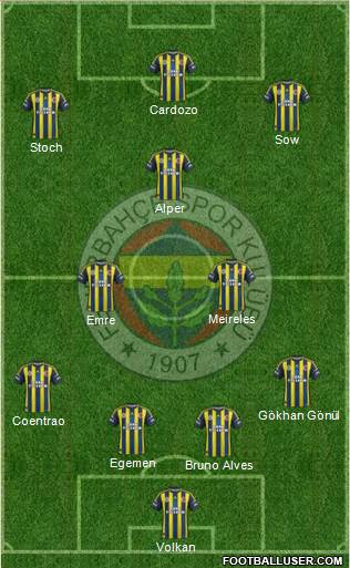 Fenerbahçe SK Formation 2013