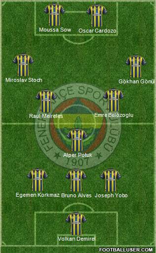 Fenerbahçe SK Formation 2013