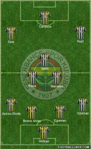 Fenerbahçe SK Formation 2013