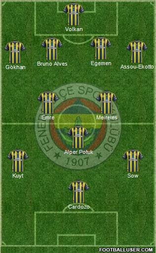 Fenerbahçe SK Formation 2013