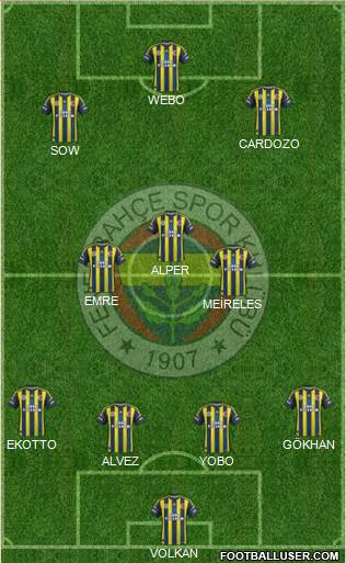 Fenerbahçe SK Formation 2013