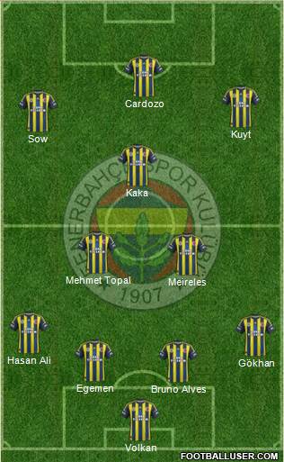 Fenerbahçe SK Formation 2013