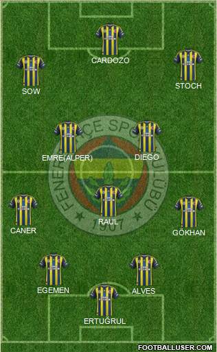 Fenerbahçe SK Formation 2013