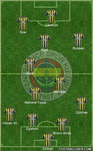 Fenerbahçe SK Formation 2013