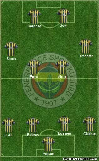 Fenerbahçe SK Formation 2013