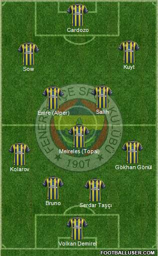 Fenerbahçe SK Formation 2013
