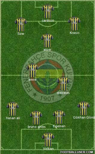 Fenerbahçe SK Formation 2013