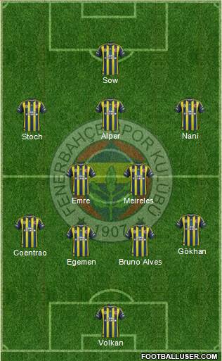 Fenerbahçe SK Formation 2013