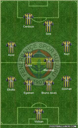 Fenerbahçe SK Formation 2013