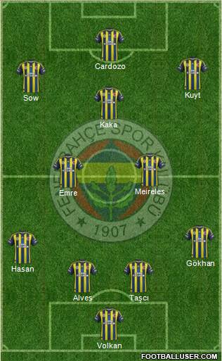 Fenerbahçe SK Formation 2013