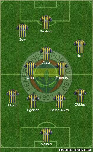 Fenerbahçe SK Formation 2013