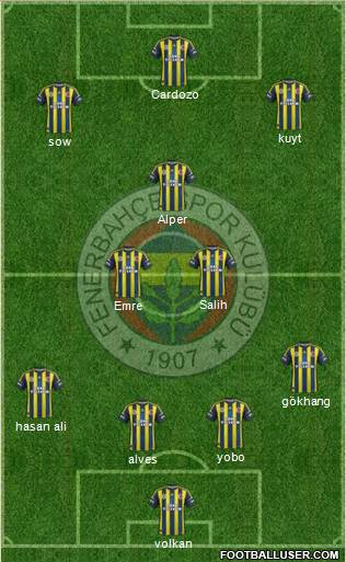 Fenerbahçe SK Formation 2013