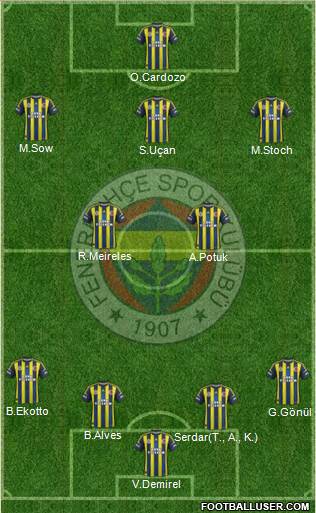 Fenerbahçe SK Formation 2013