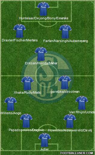 FC Schalke 04 Formation 2013