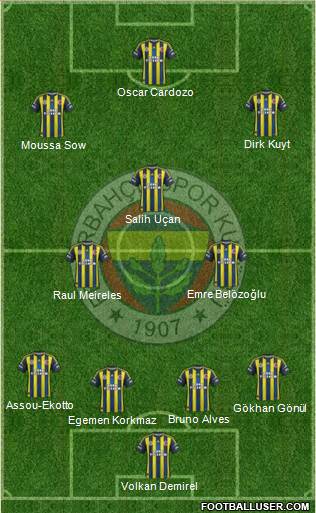 Fenerbahçe SK Formation 2013
