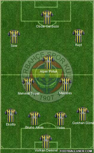 Fenerbahçe SK Formation 2013