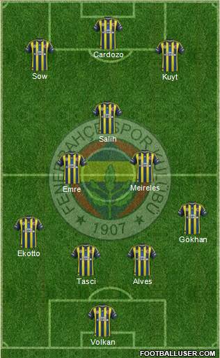 Fenerbahçe SK Formation 2013