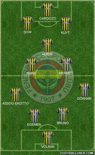 Fenerbahçe SK Formation 2013