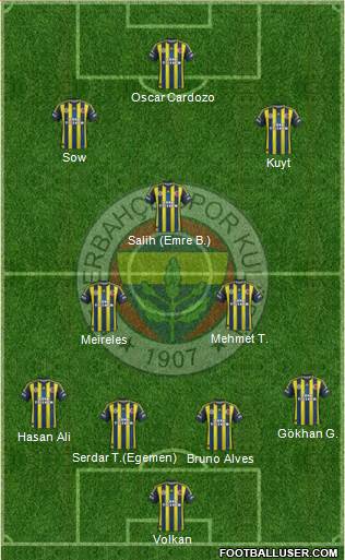 Fenerbahçe SK Formation 2013