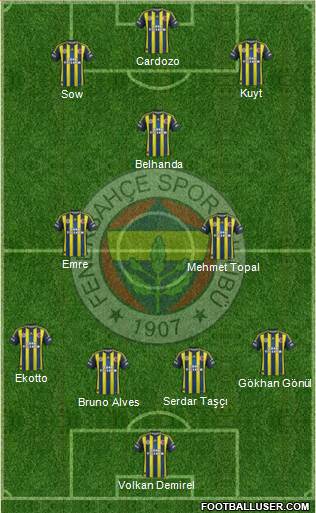 Fenerbahçe SK Formation 2013