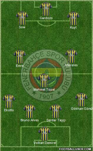 Fenerbahçe SK Formation 2013