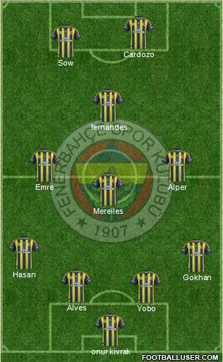 Fenerbahçe SK Formation 2013