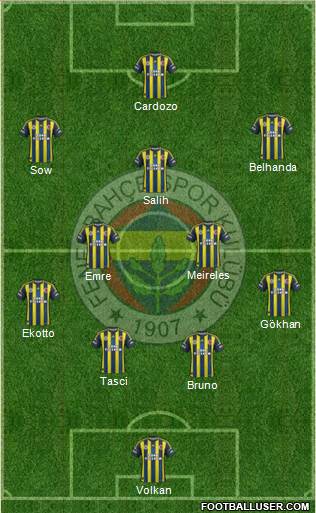 Fenerbahçe SK Formation 2013