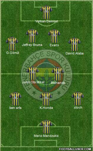 Fenerbahçe SK Formation 2013
